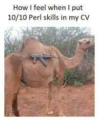 Perl Kalash