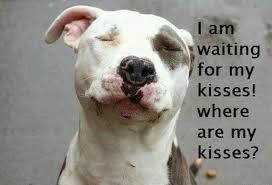 Kisses