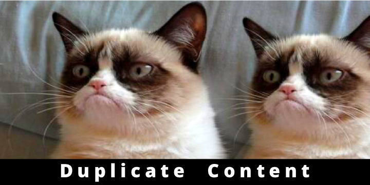 Duplicate
