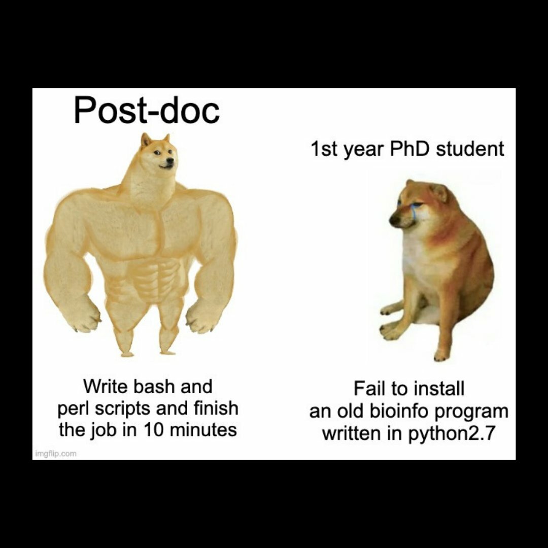 BioInfo