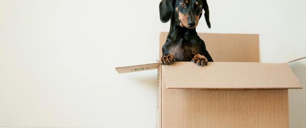 Carton