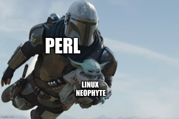 Mandalorian Perl Meme