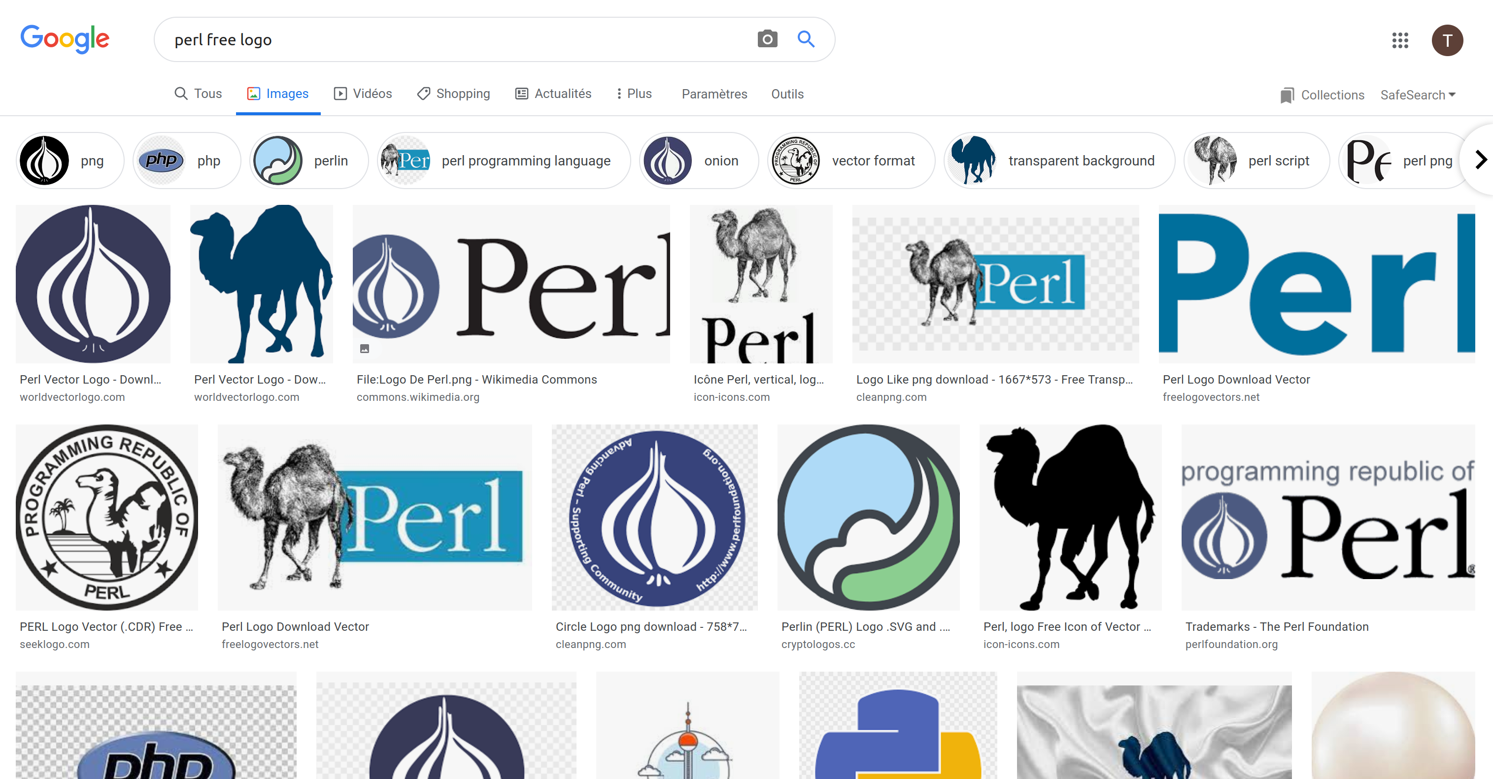 Perl free logo google