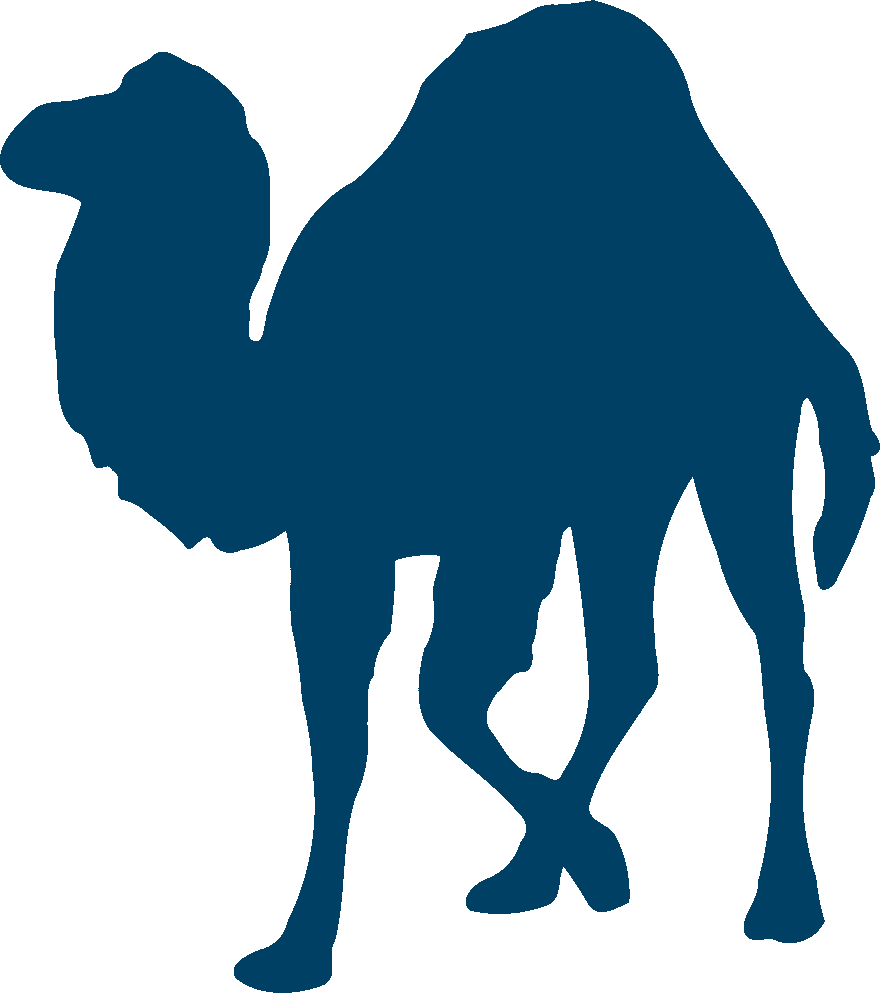Shadowed camel