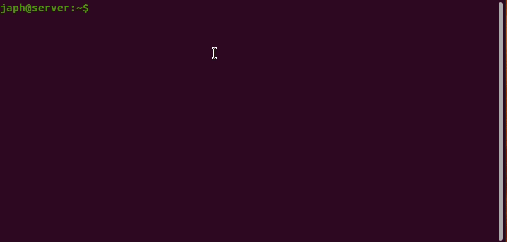 Server