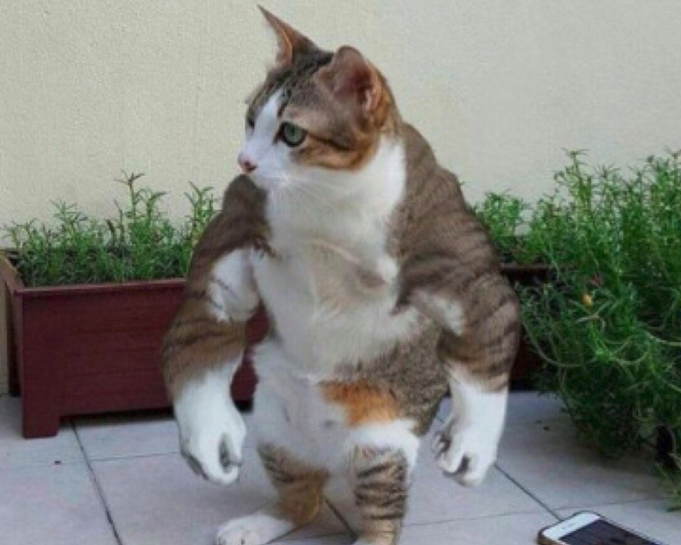 Strong