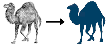 Shadowed camel is a derivative